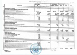 Отчет о доходах и расходах за 2 квартал 2020