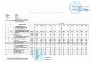 индивидуальный план финансирования 2021