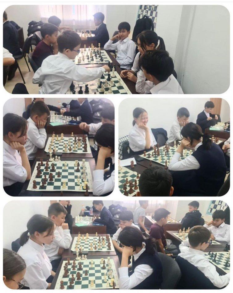 Шахмат үйірмесі