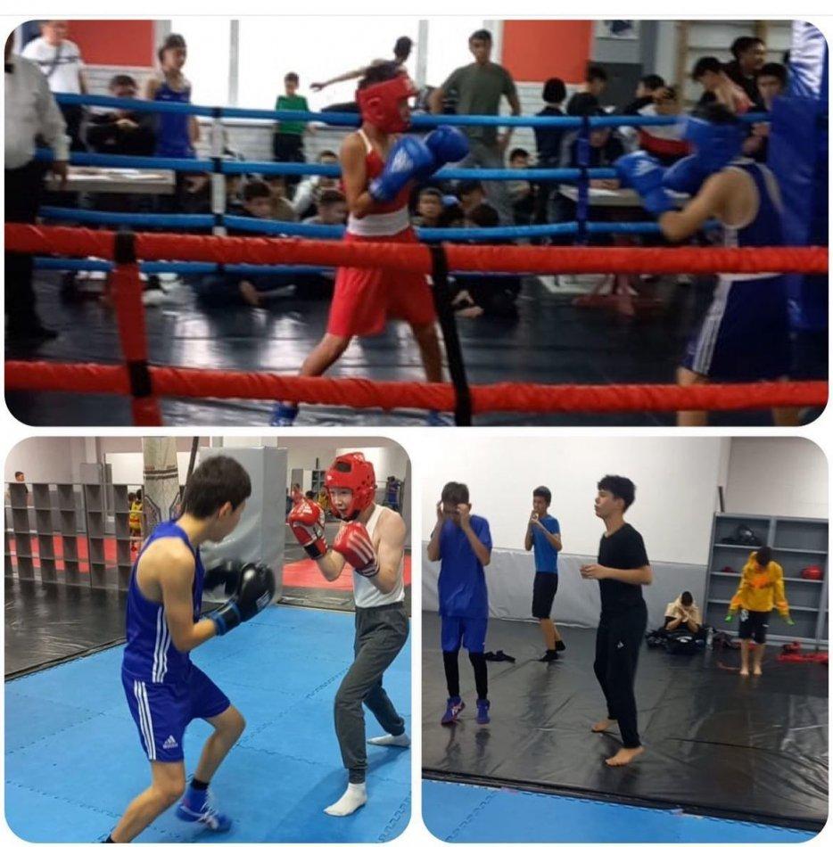 Бокс үйірмесі