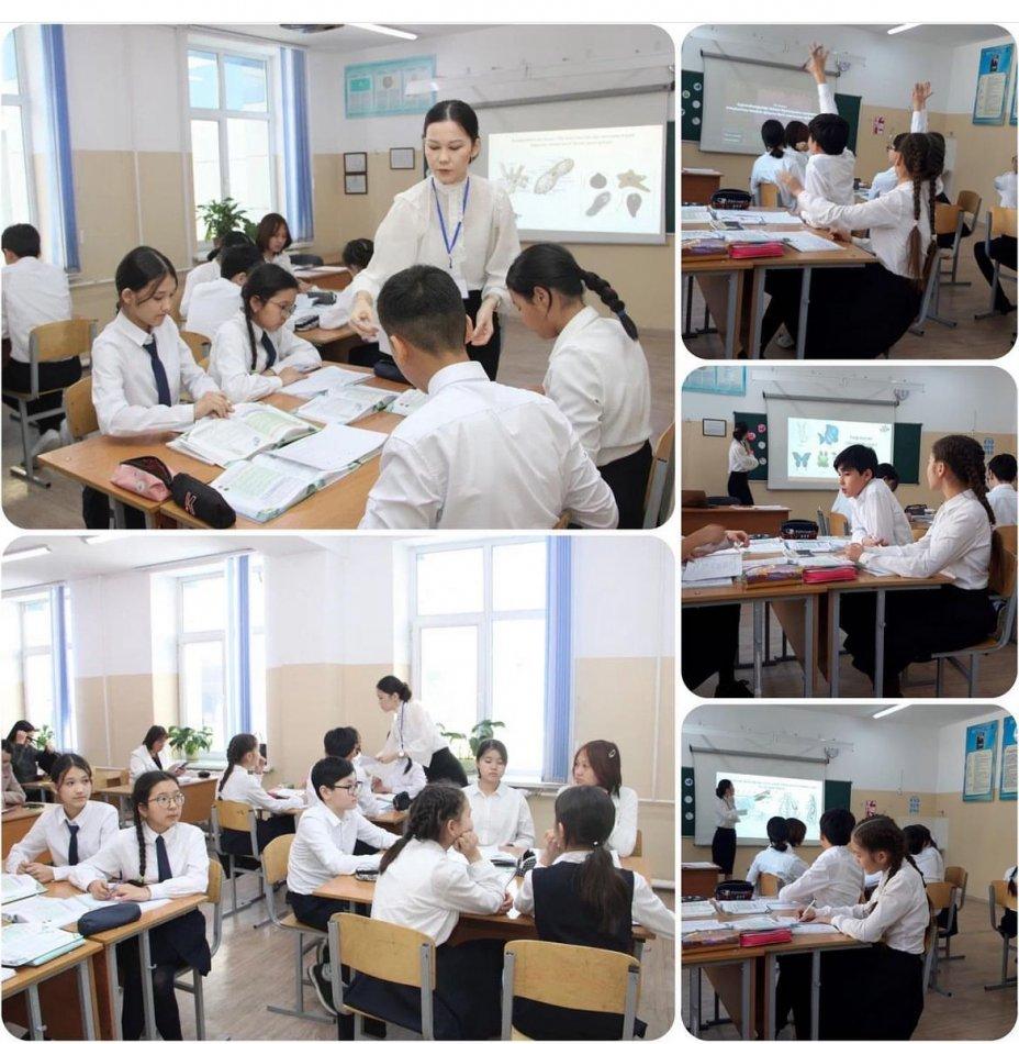 Ашық сабақ: "Жануарлардың бөліп шығару жүйелері"